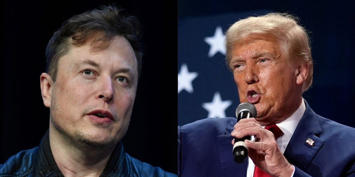 Elon Musk might have to convince Trump not to 'stop' autonomous vehicles if he's reelected