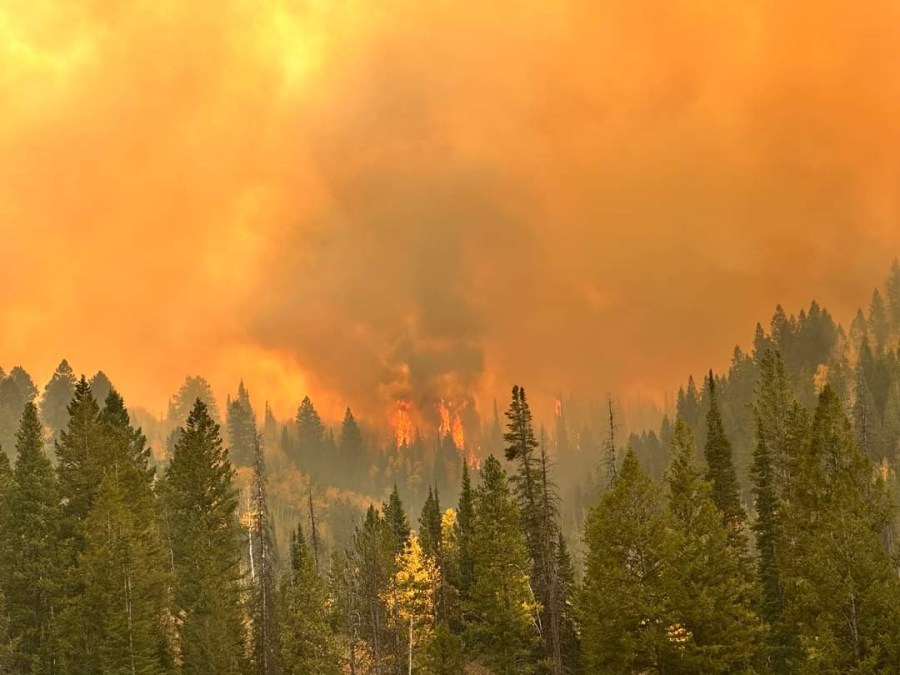 Summit County Emergency Mgmt. issues immediate evacuation order for Yellow Lake Fire