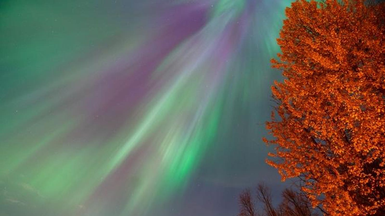 Northern Lights Forecast: Aurora Borealis Could Be Visible In These States Tonight