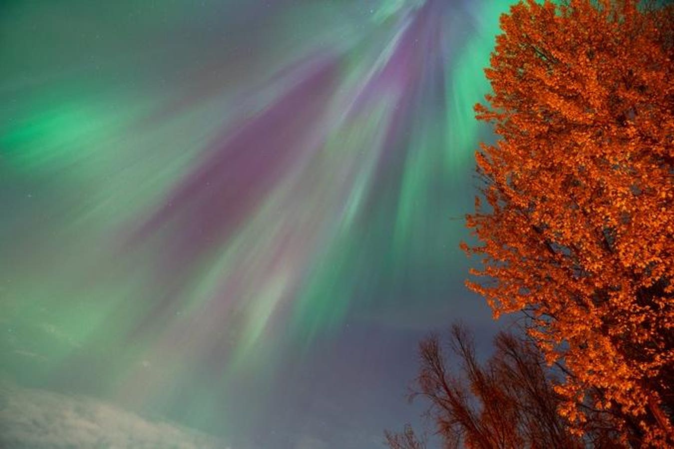 Northern Lights Alert: Here’s Where Aurora Borealis Can Be Seen Thursday Night—As Forecasters Predict Strong Showing