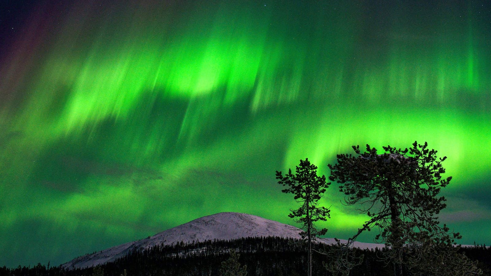 Northern Lights Tonight: These U.S. States May See Aurora Borealis on Sunday Night