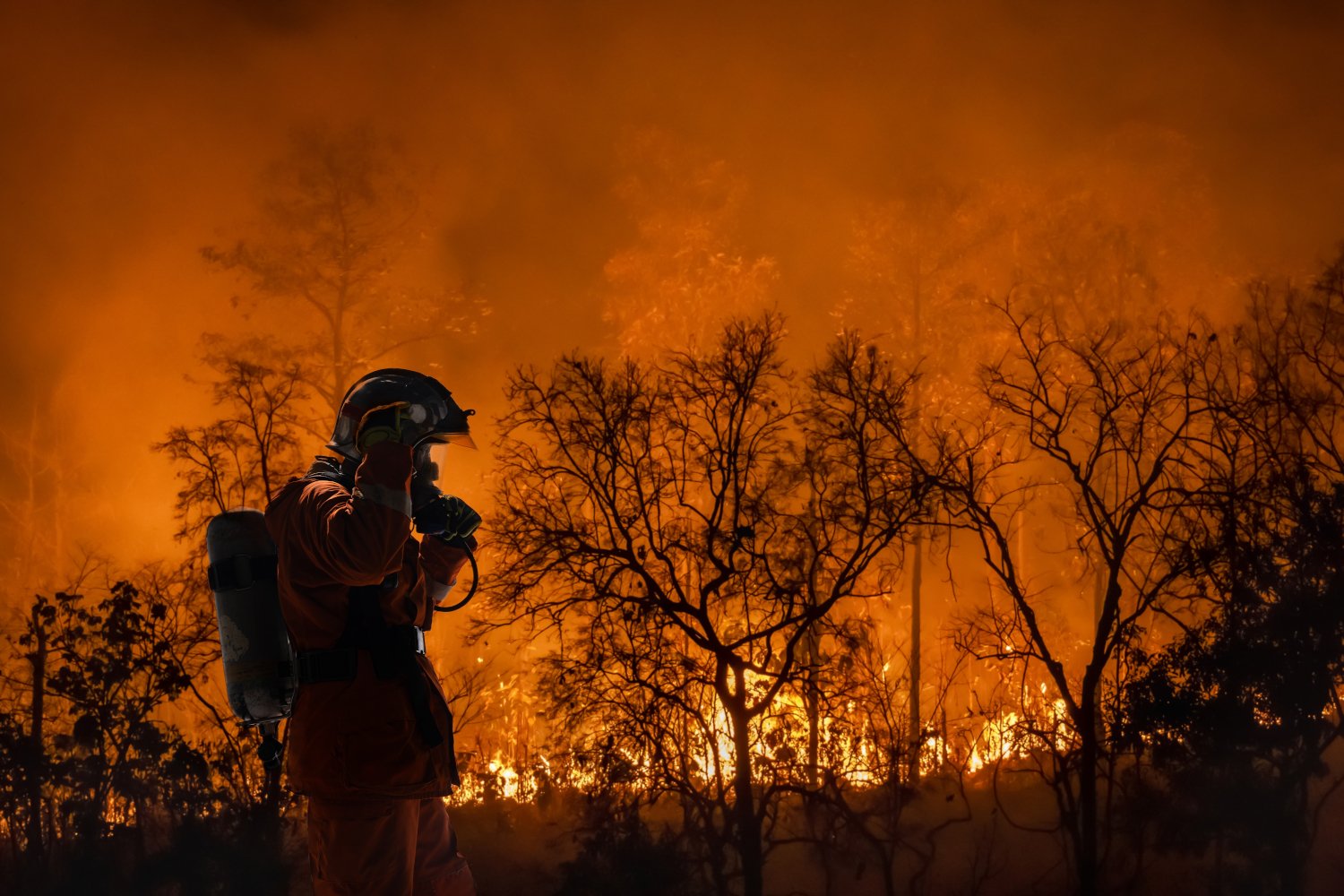 Plagues, Famines, and Fires: How the Jet Stream Shaped History and Threatens Our Future