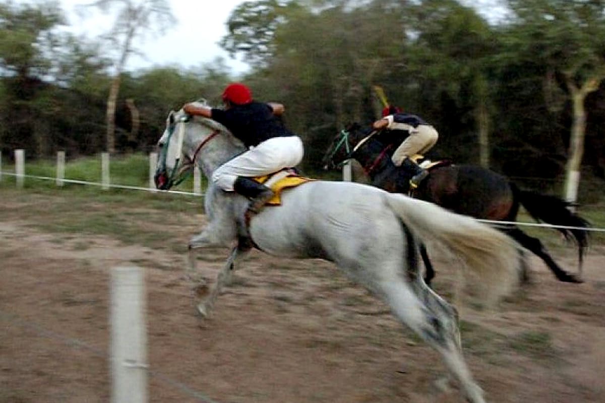 Carreras cuadreras: una tradicional competencia siempre esperada