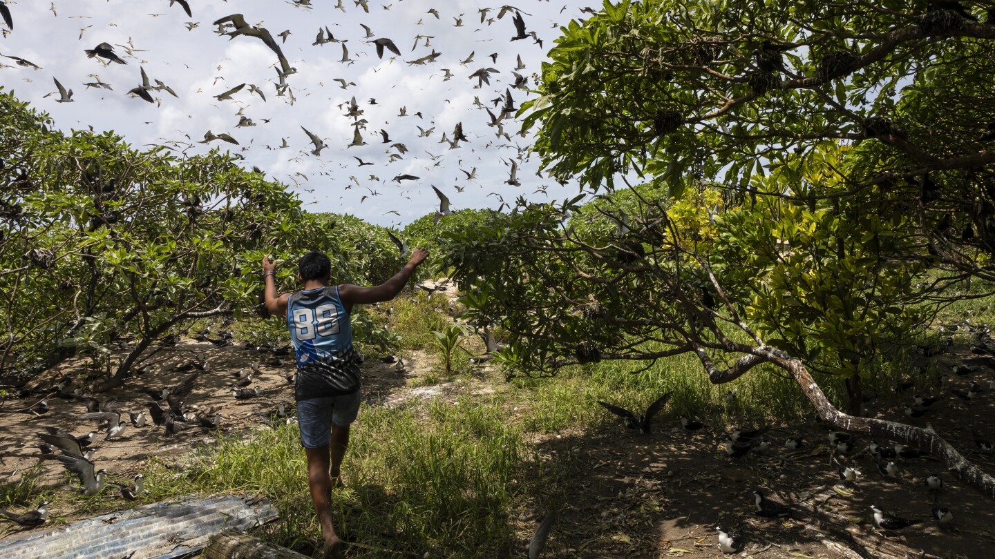 Slight progress in global biodiversity protection efforts but some species decline, new reports find