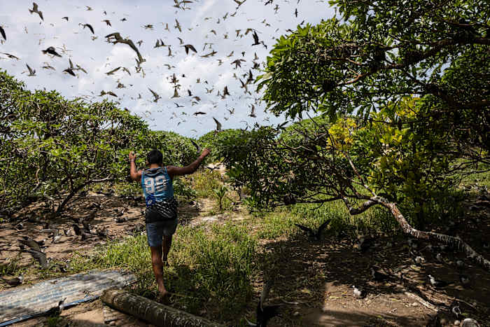 Slight progress in global biodiversity protection efforts but some species decline, new reports find