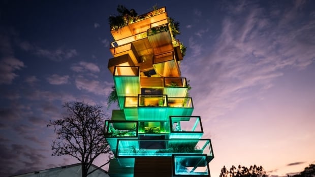 Biodiversity is a lot like Jenga, says Canadian artist behind COP16 installation