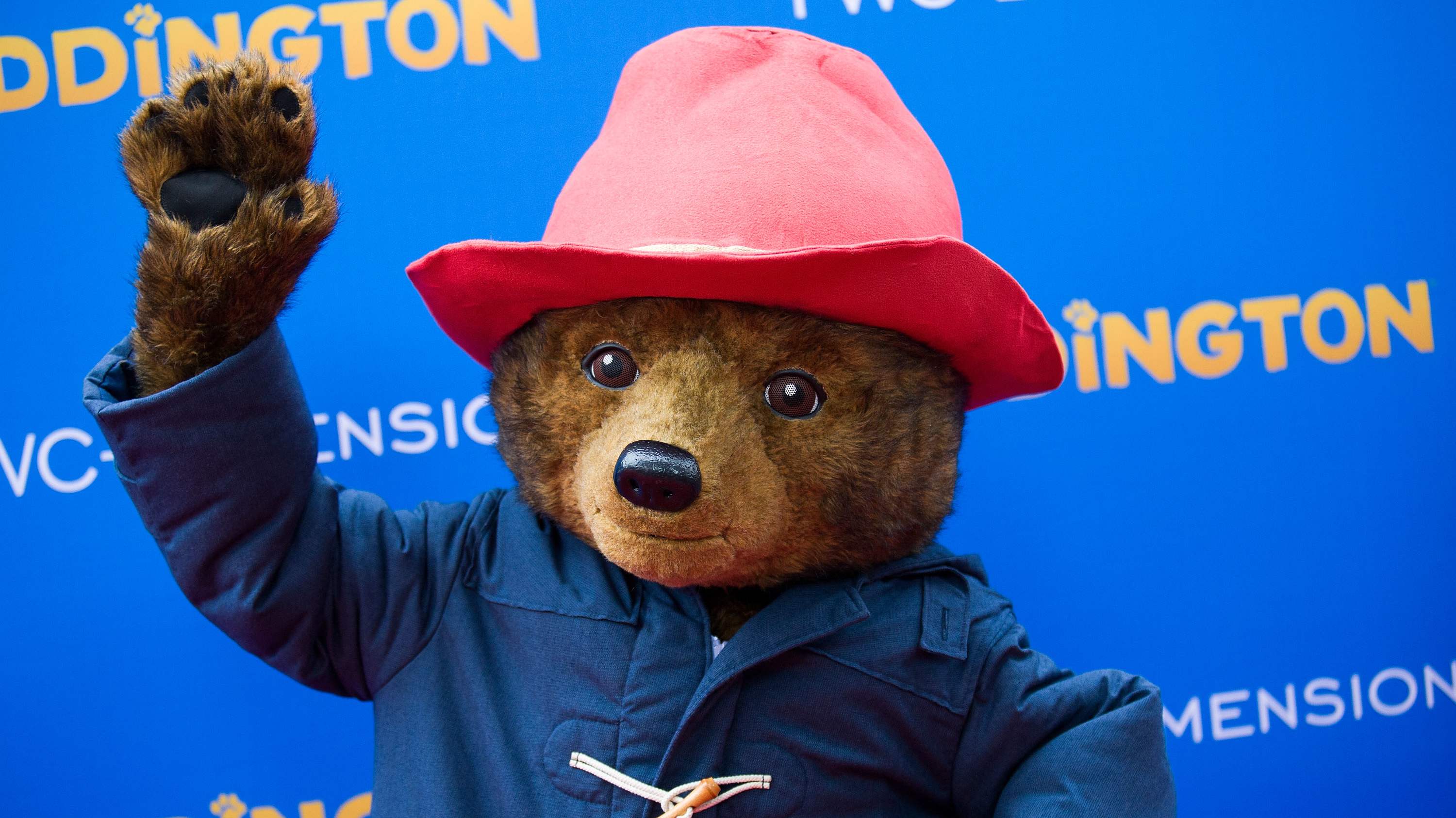 Paddington Just Got His Passport