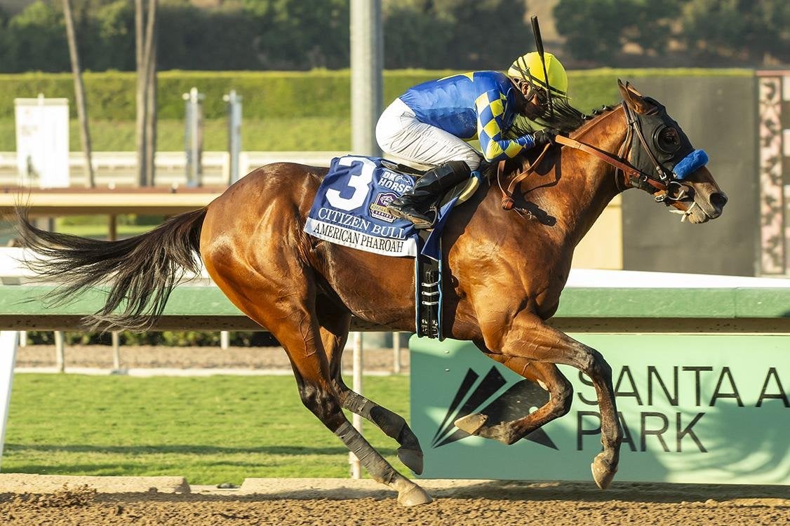 Future Stars on display with five races for 2-year-olds on Breeders' Cup Friday