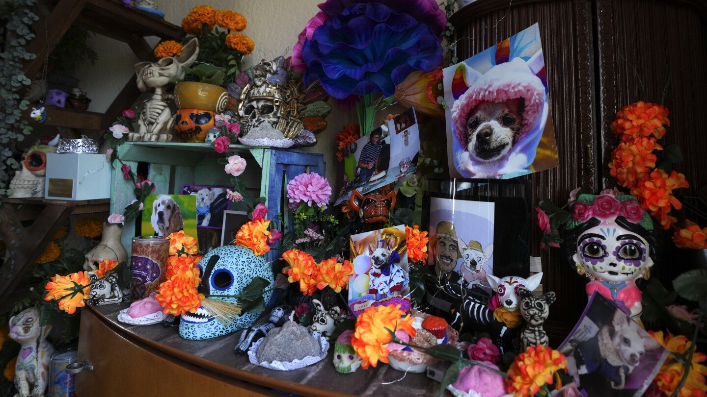 Pets join Mexico's Day of the Dead celebrations, as Fido and Tiger get their own altars