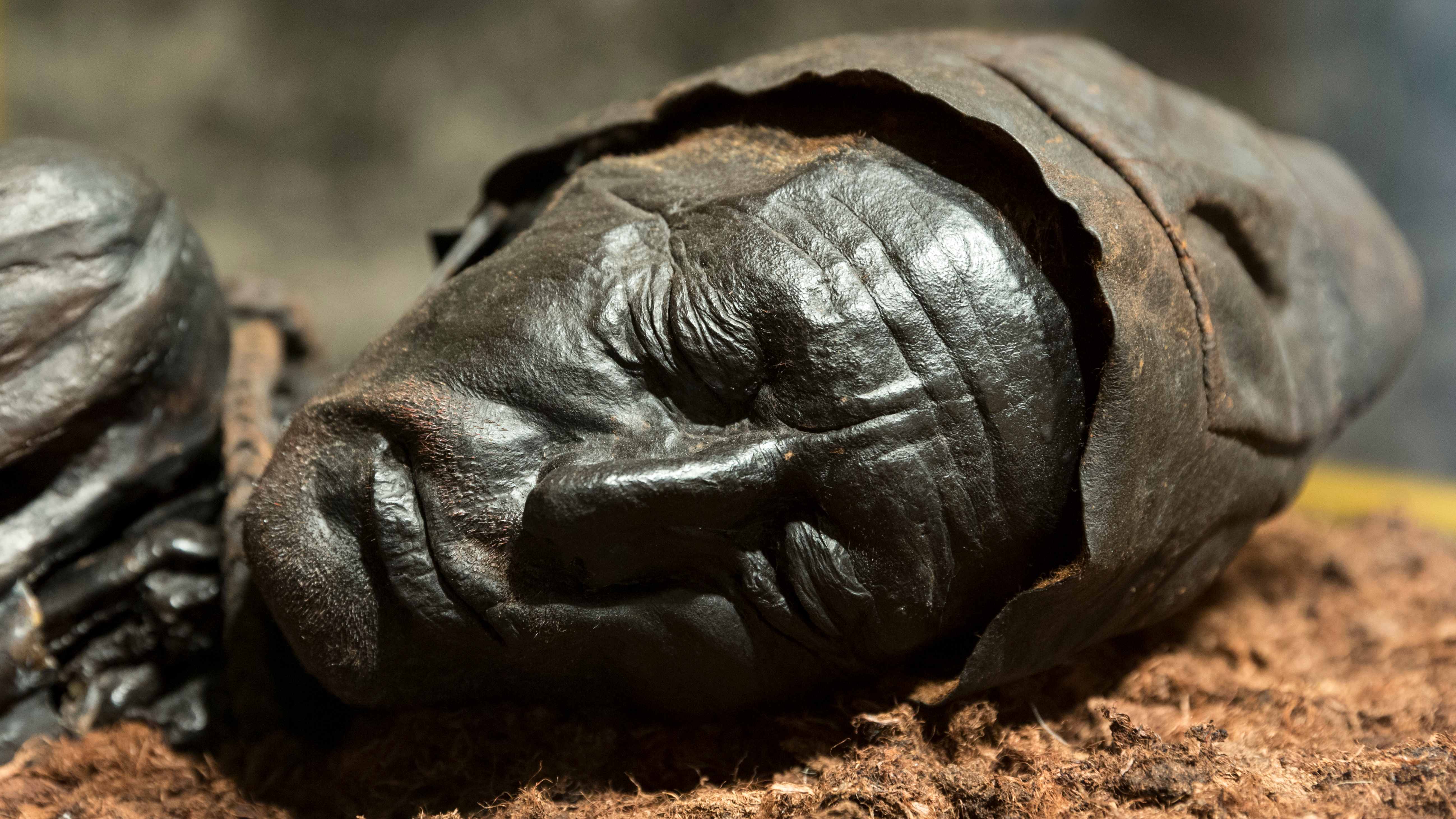 8 Kinds of Mummies That Aren’t From Ancient Egypt