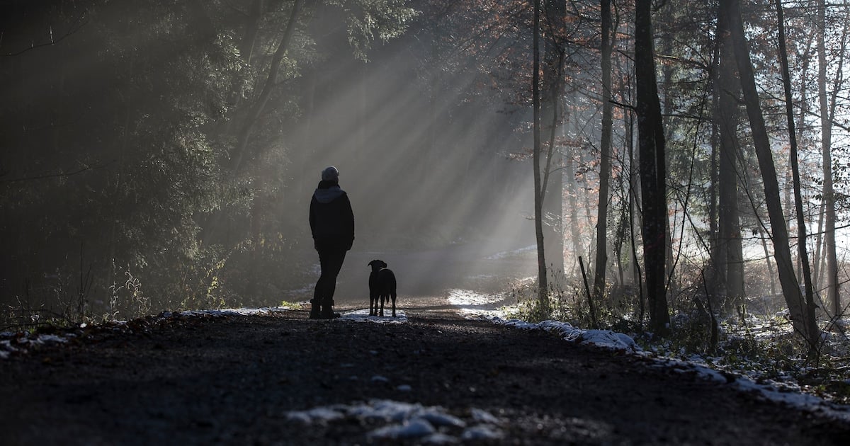 Ehemann tot aufgefunden - Rentnerin (72) nach vier Nächten im Wald entdeckt - Hund hielt sie warm