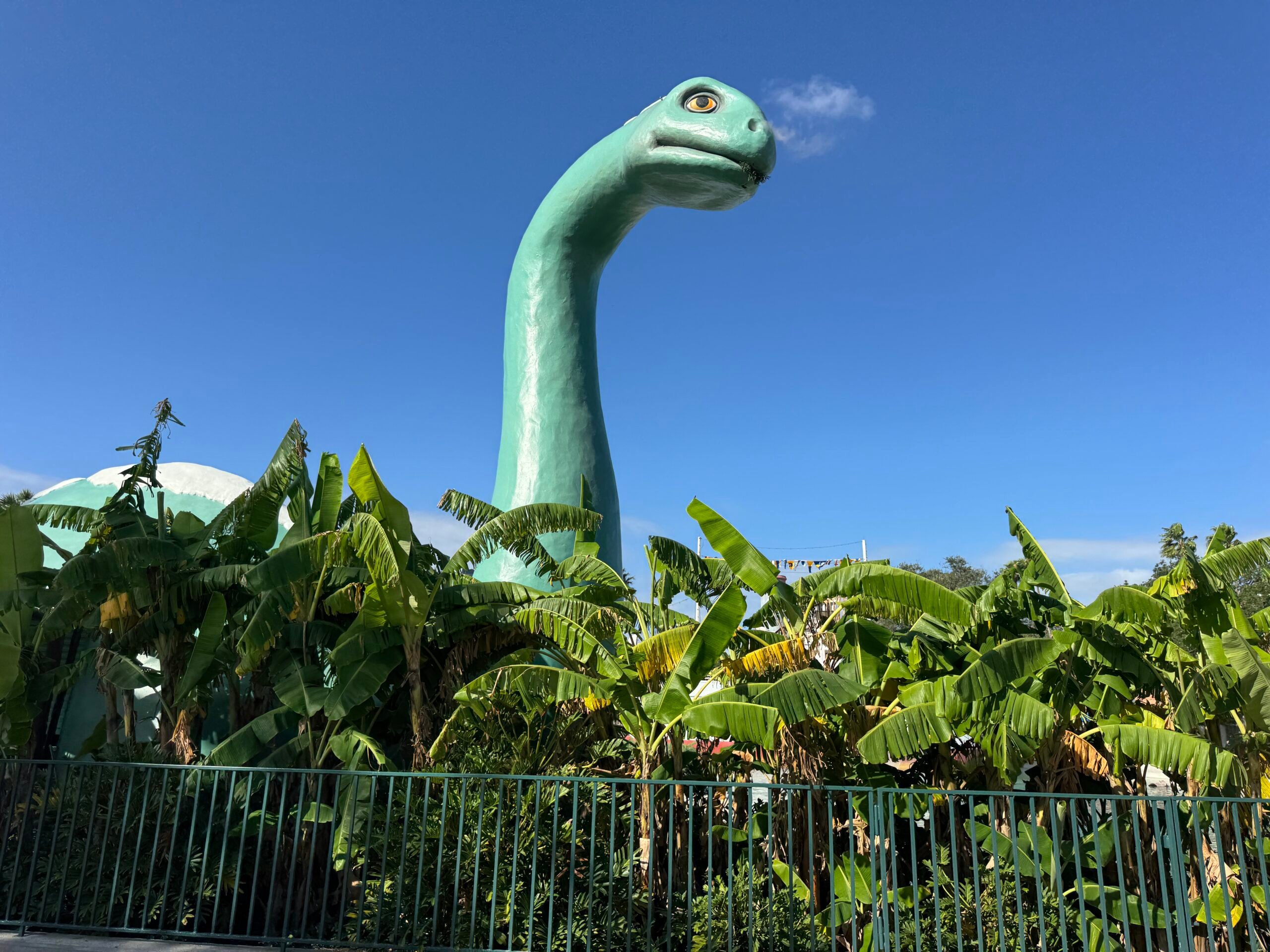 PHOTO REPORT: Disney's Animal Kingdom, Disney's Hollywood Studios and Universal Studio Florida (10/31/2024)