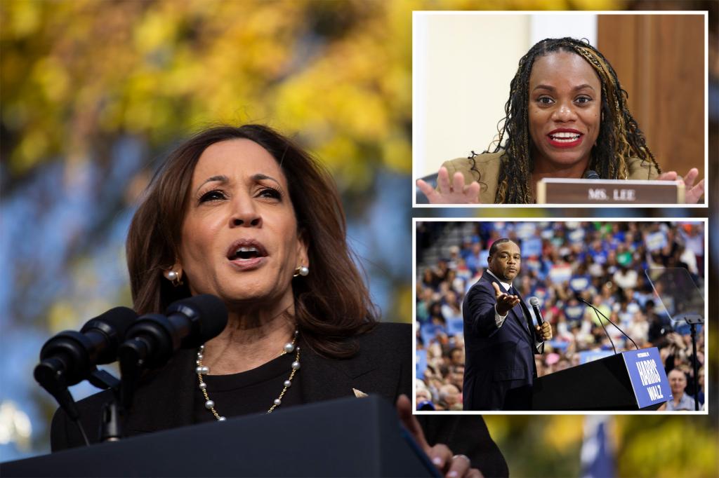 Jewish Democrats in Pennsylvania consider voting for Trump after Harris campaign cozies up to anti-Israel politicians