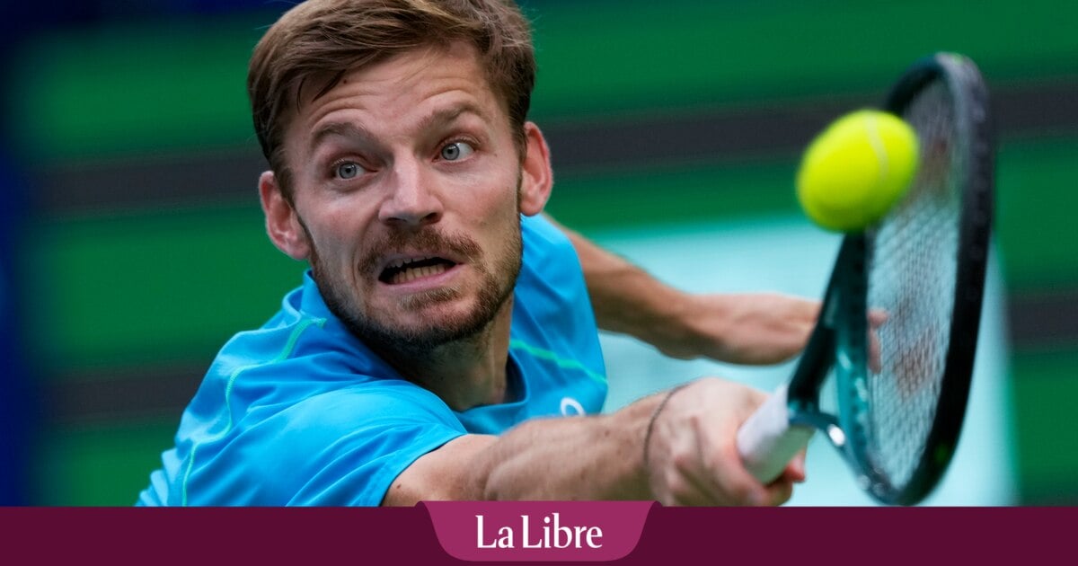 La renaissance de David Goffin, une revanche par rapport à ceux qui ne croyaient plus en lui? "Je m’en fous un peu de ce que l’on dit sur moi"