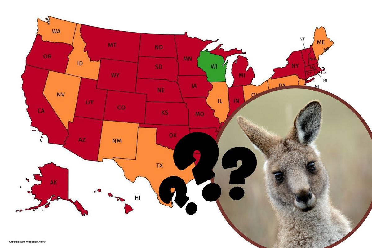 Is it Actually Legal to Own a Kangaroo in Wisconsin?