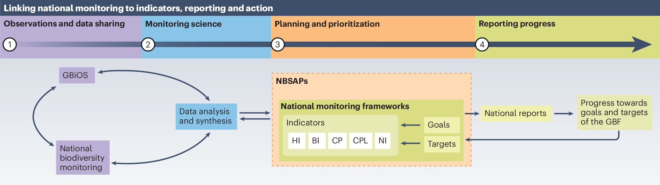 Tracking biodiversity: Researchers outline strengths and challenges in new monitoring framework