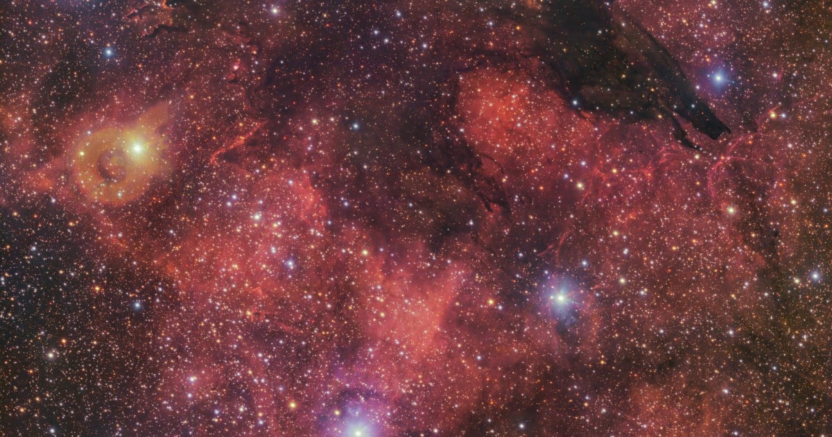 See the dramatic and spooky Dark Wolf Nebula