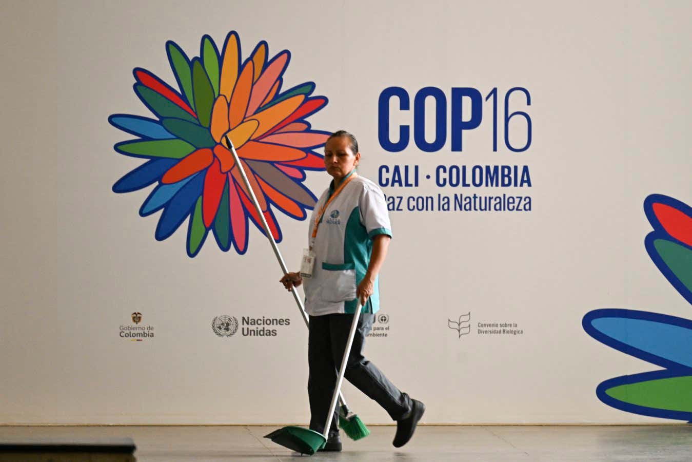 What to expect at the COP16 biodiversity summit