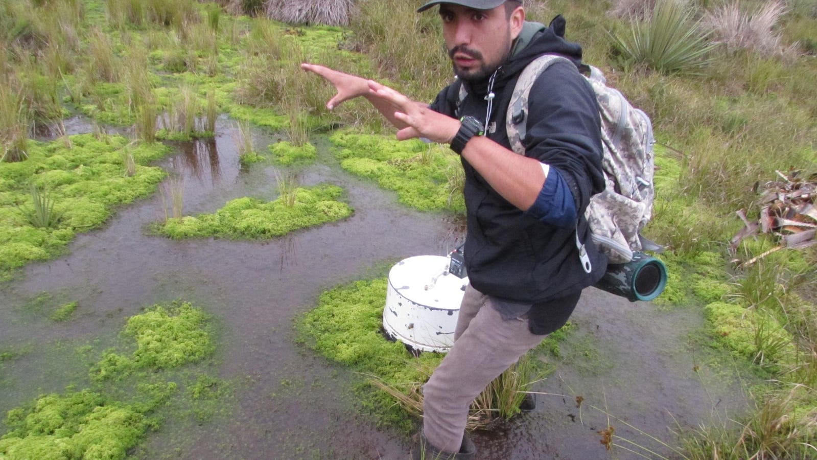 For Peat’s Sake! How Saving Colombia’s Bogs Helps The Climate