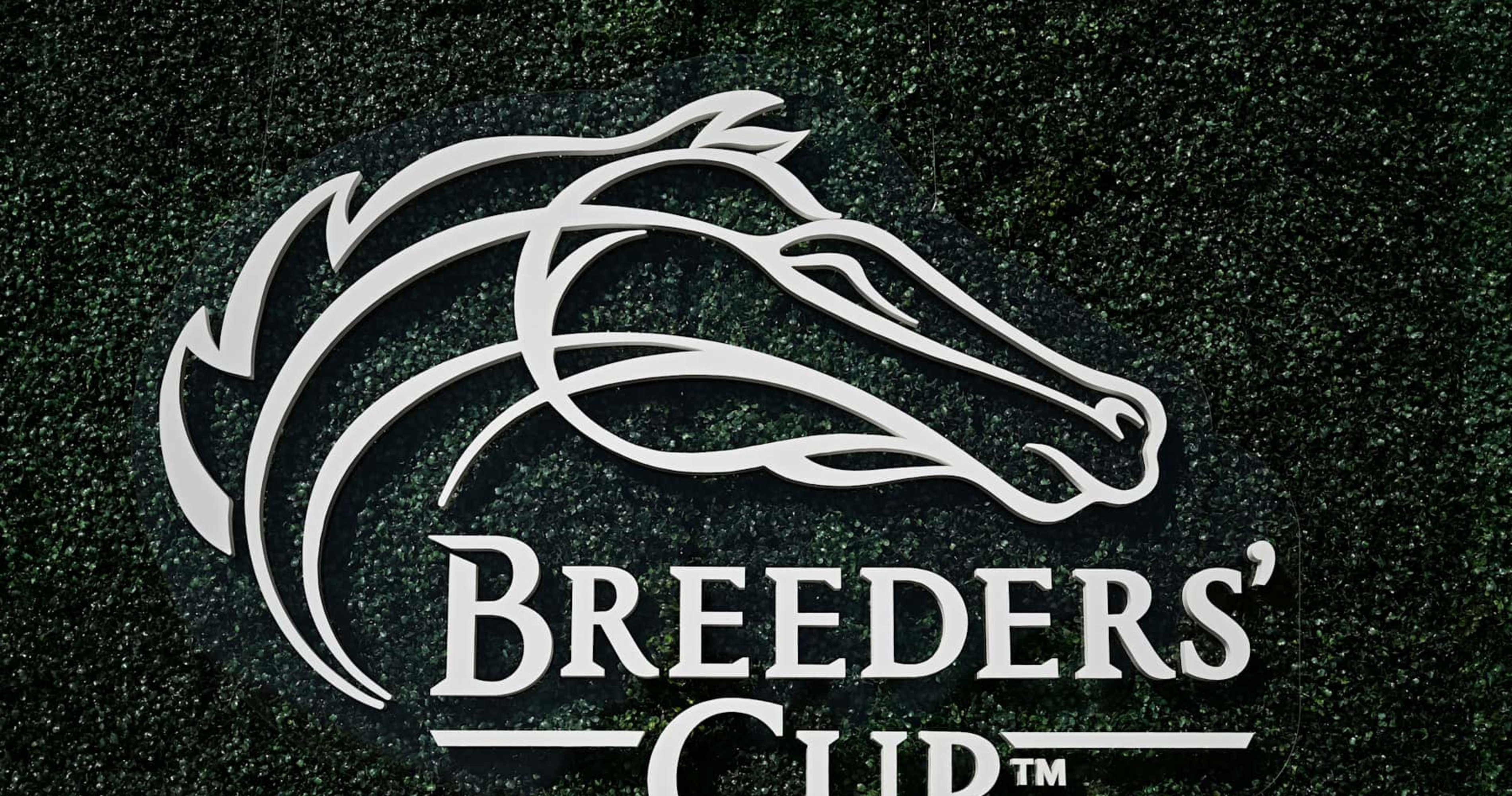 Breeders' Cup 2024 Results: Tracking Winners, Prize Money Payouts on Friday