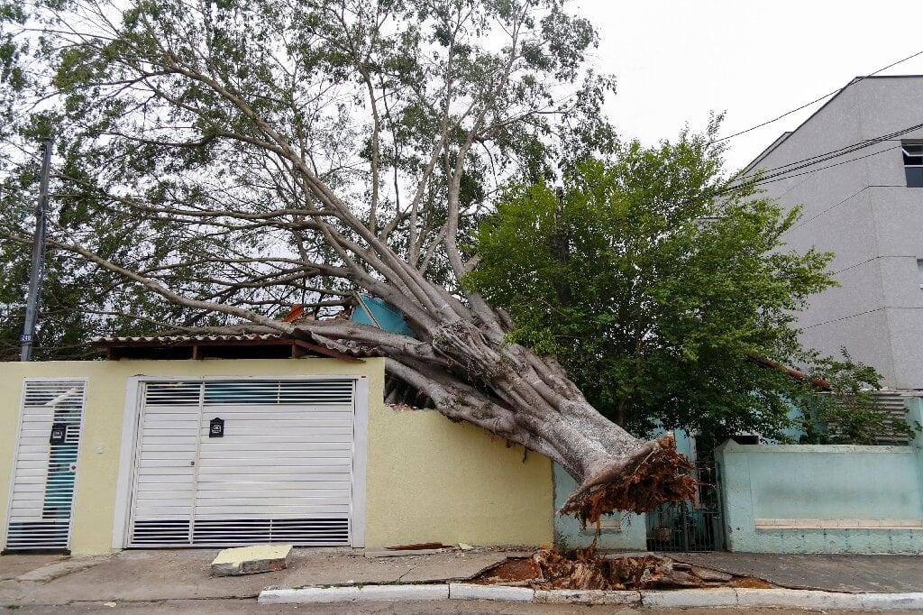 Eight dead as heavy rain thrashes Brazil after long drought