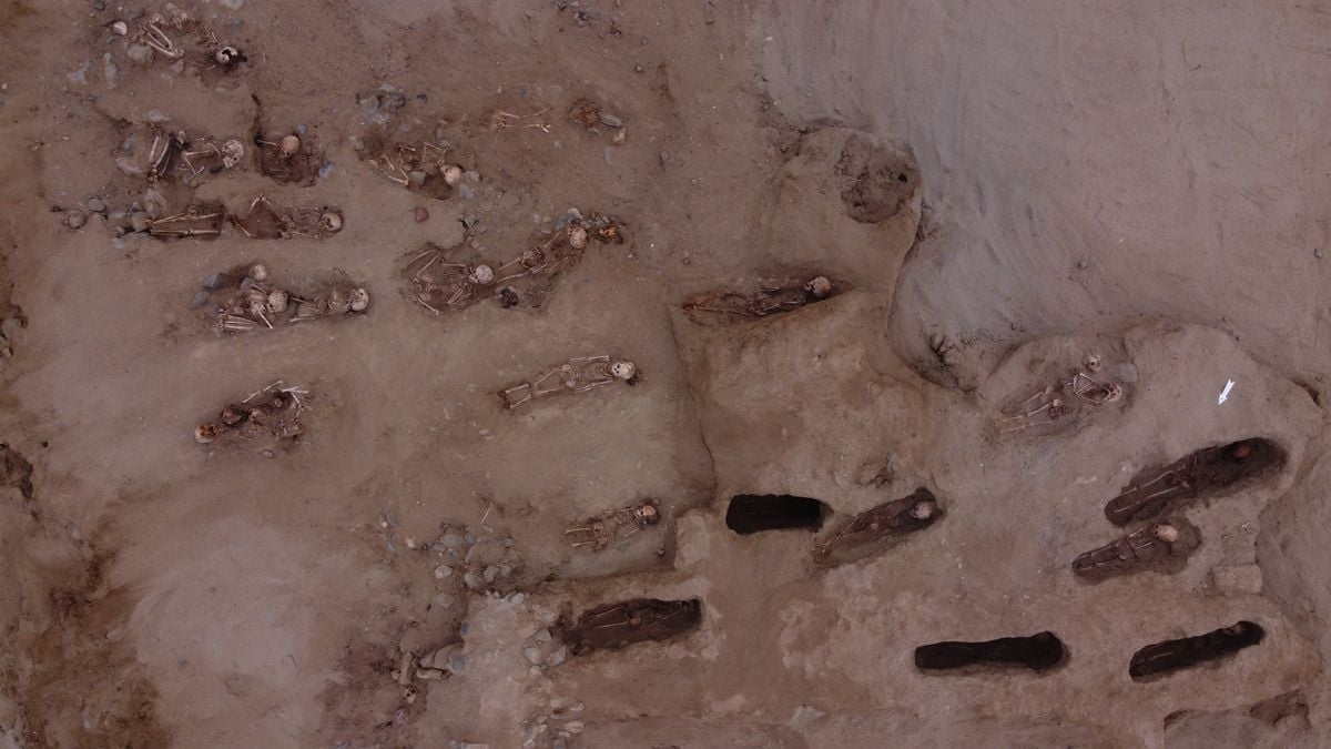 'An offering to energize the fields': 76 child sacrifice victims, all with their chests cut open, unearthed at burial site in Peru