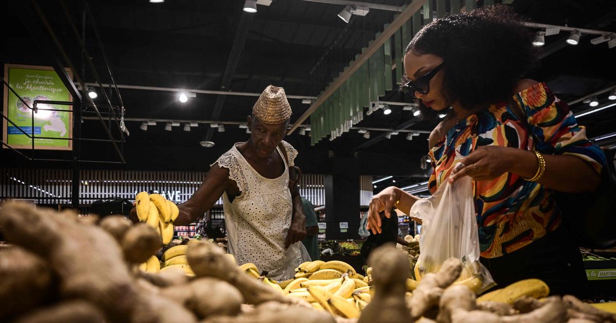 Pourquoi la vie coûte si cher en Martinique