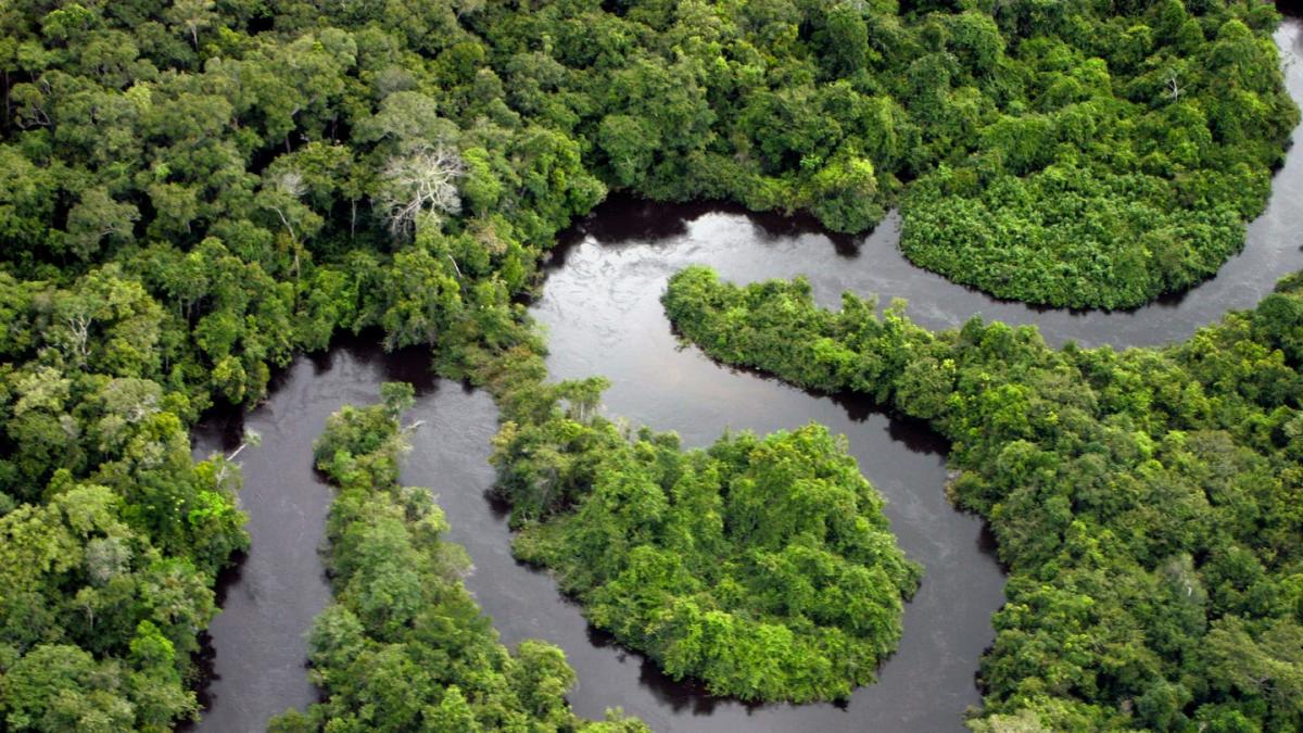 The Amazon Swallowed A Colony Centuries Ago. Archaeologists Just Found It.