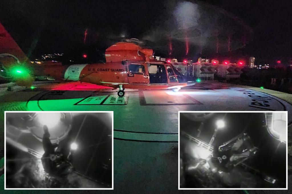 Coast Guardsman rappels from chopper to rescue passenger from Hawaii cruise ship: video