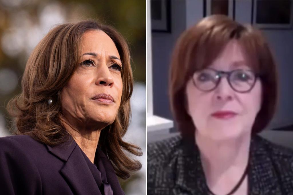 Pollster Ann Selzer 'reviewing data' after setting off media firestorm with Iowa poll showing Harris ahead