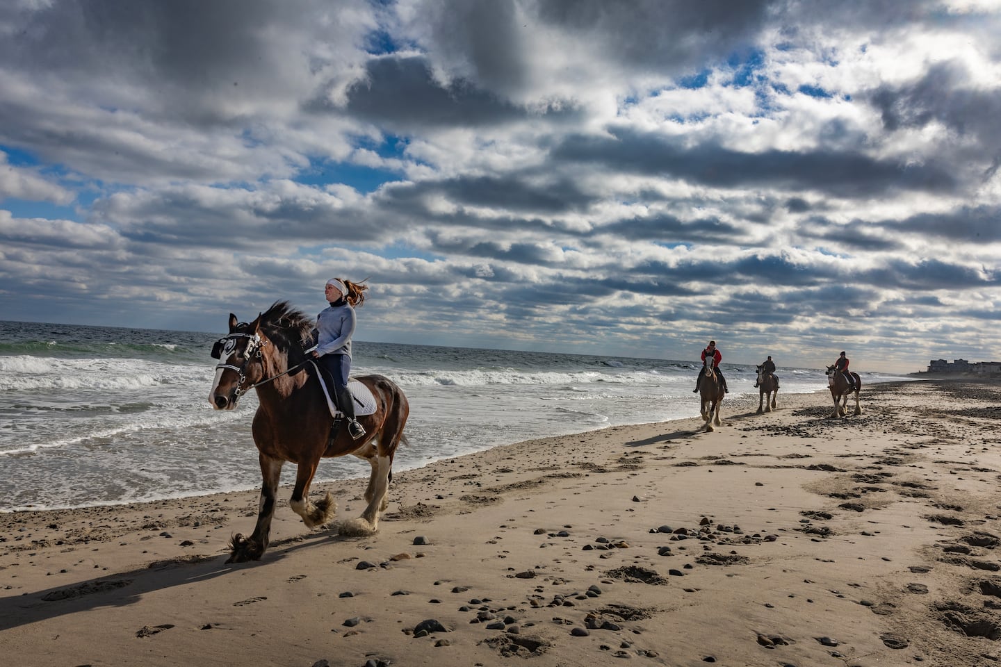 The ‘gentle giants’ of Duxbury are 10 Clydesdales, often on parade