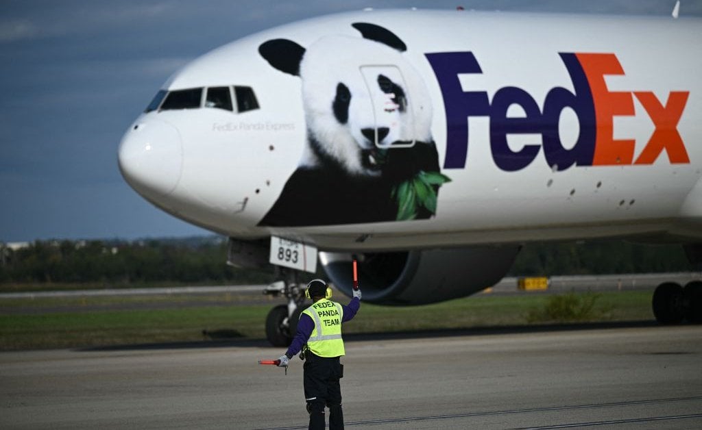 Pandas Arrive in the U.S. Next Stop Is the National Zoo