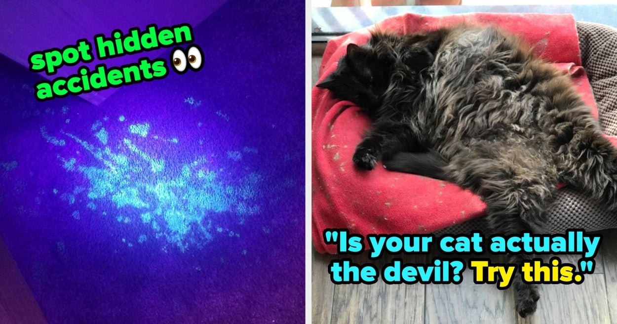 22 Products You'll Probably Want If Your Cat Is A Little Tyrant Sometimes