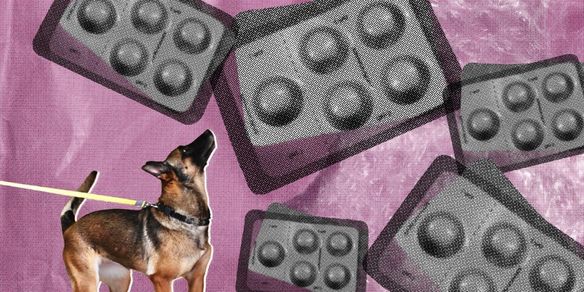 Drug-Sniffing Police Dogs Are Intercepting Abortion Pills in the Mail