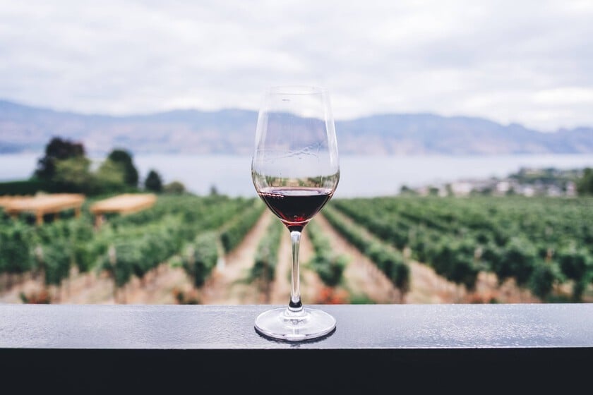 El set de vinos de Lidl con denominación de origen Ribera del Duero que no puede faltar en la bodega de casa