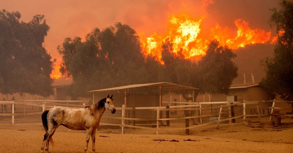 Southern California Wildfire Destroys 132 Structures as Officials Look for Fierce Winds to Subside