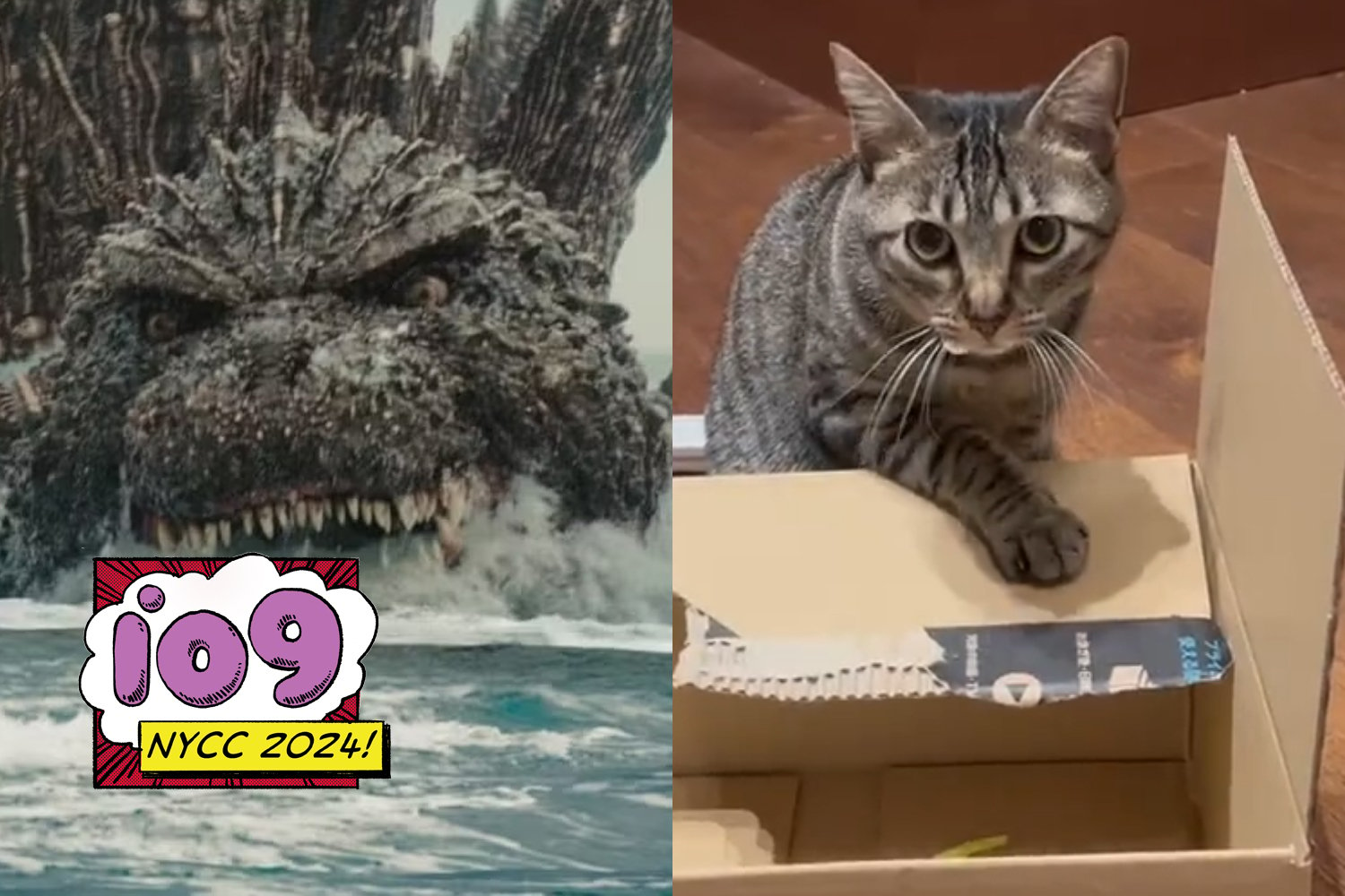 Godzilla Minus One‘s Director Really Wants You to Know He’s a Cat Guy