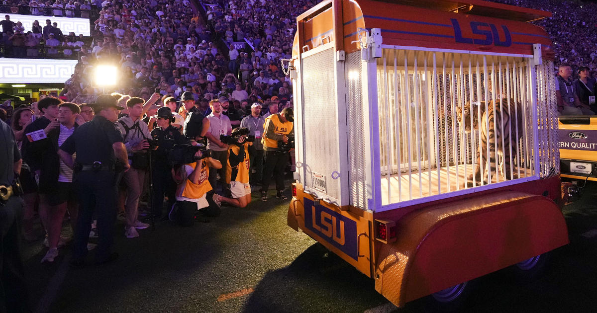 LSU student arrested for allegedly threatening to kill governor who wanted live tiger at game