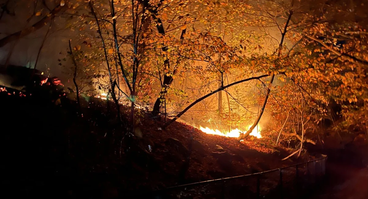 Dry winds in NY and NJ keep wildfires burning throughout the region