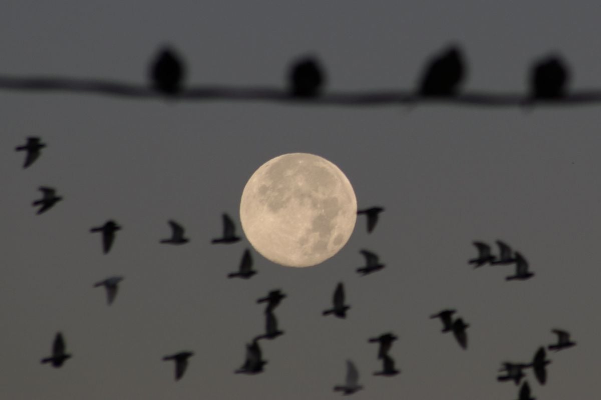 Last supermoon of 2024 wows skywatchers around the world with Full Beaver Moon (photos)