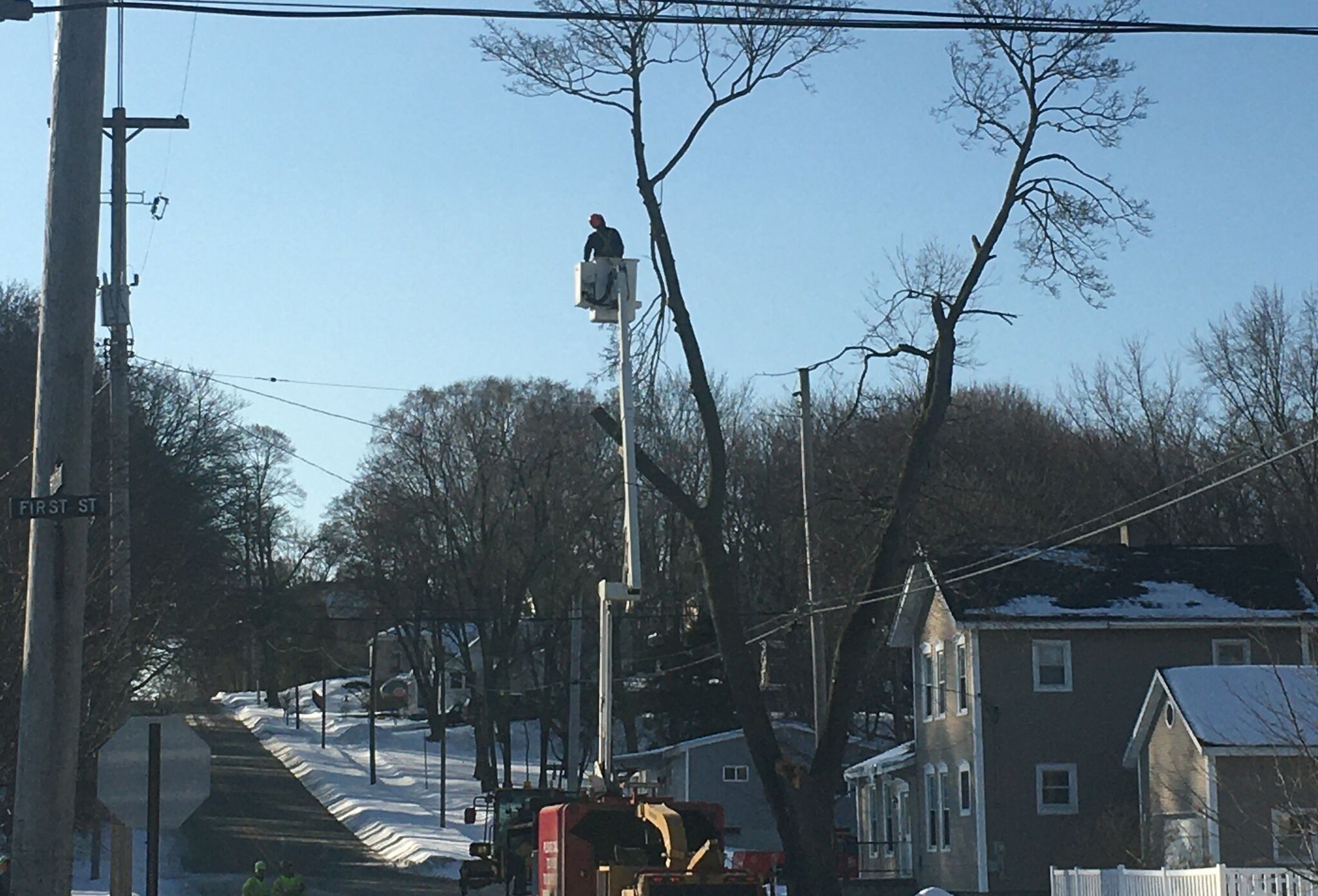 Michigan DNR gives over $224K for urban tree management in Manistee