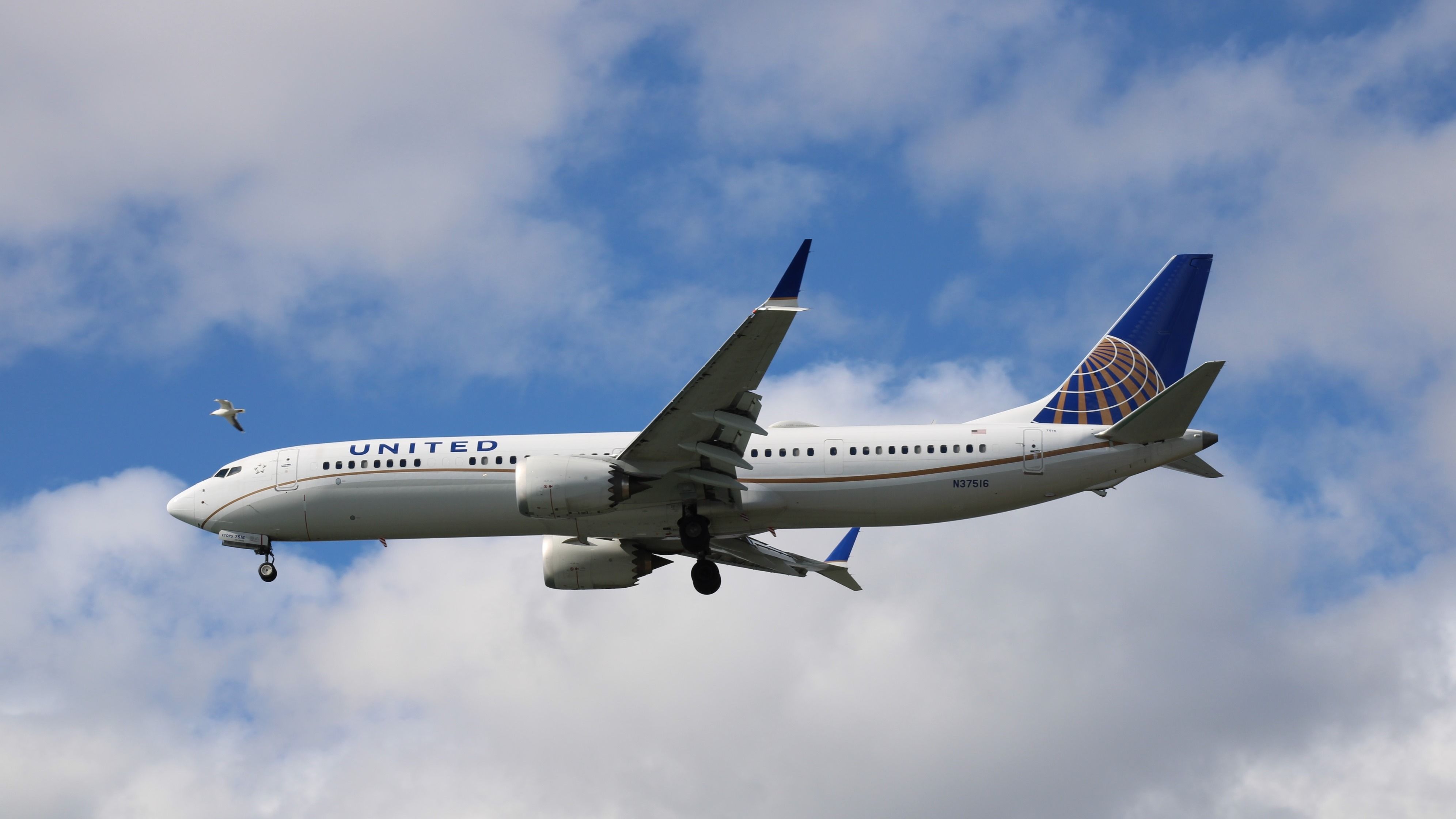 Mexico Dominance: These United Airlines' Busiest Routes To Latin America