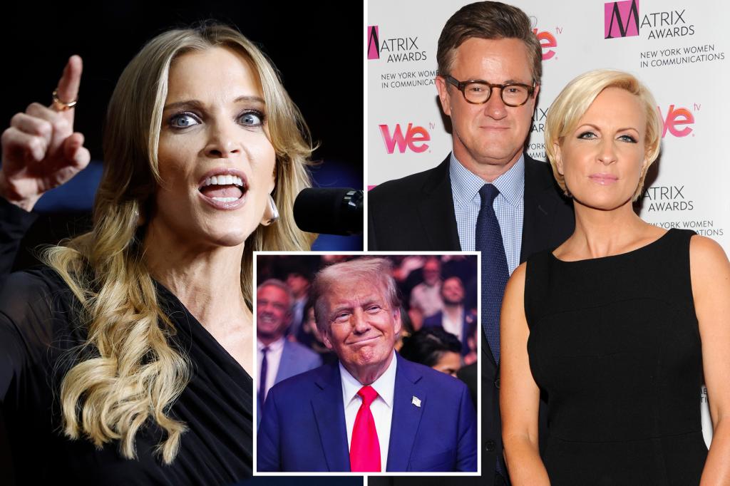 Megyn Kelly rips MSNBC's 'Morning Joe' hosts for meeting with Trump