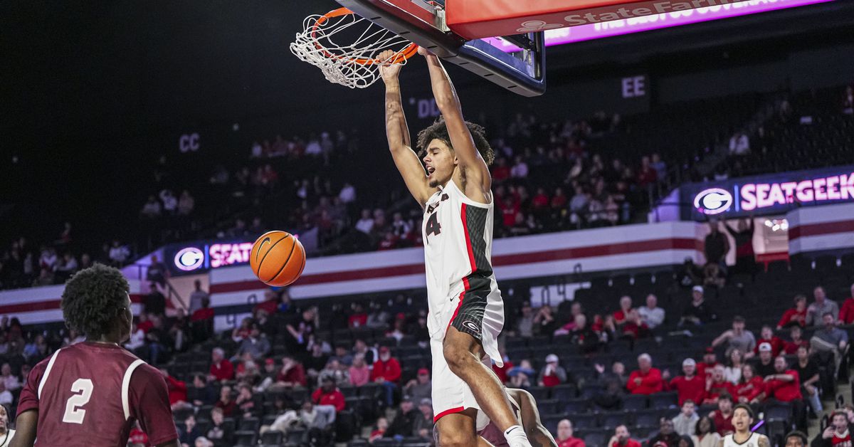 Meet Asa Newell: Georgia basketball’s best freshman star since Anthony Edwards