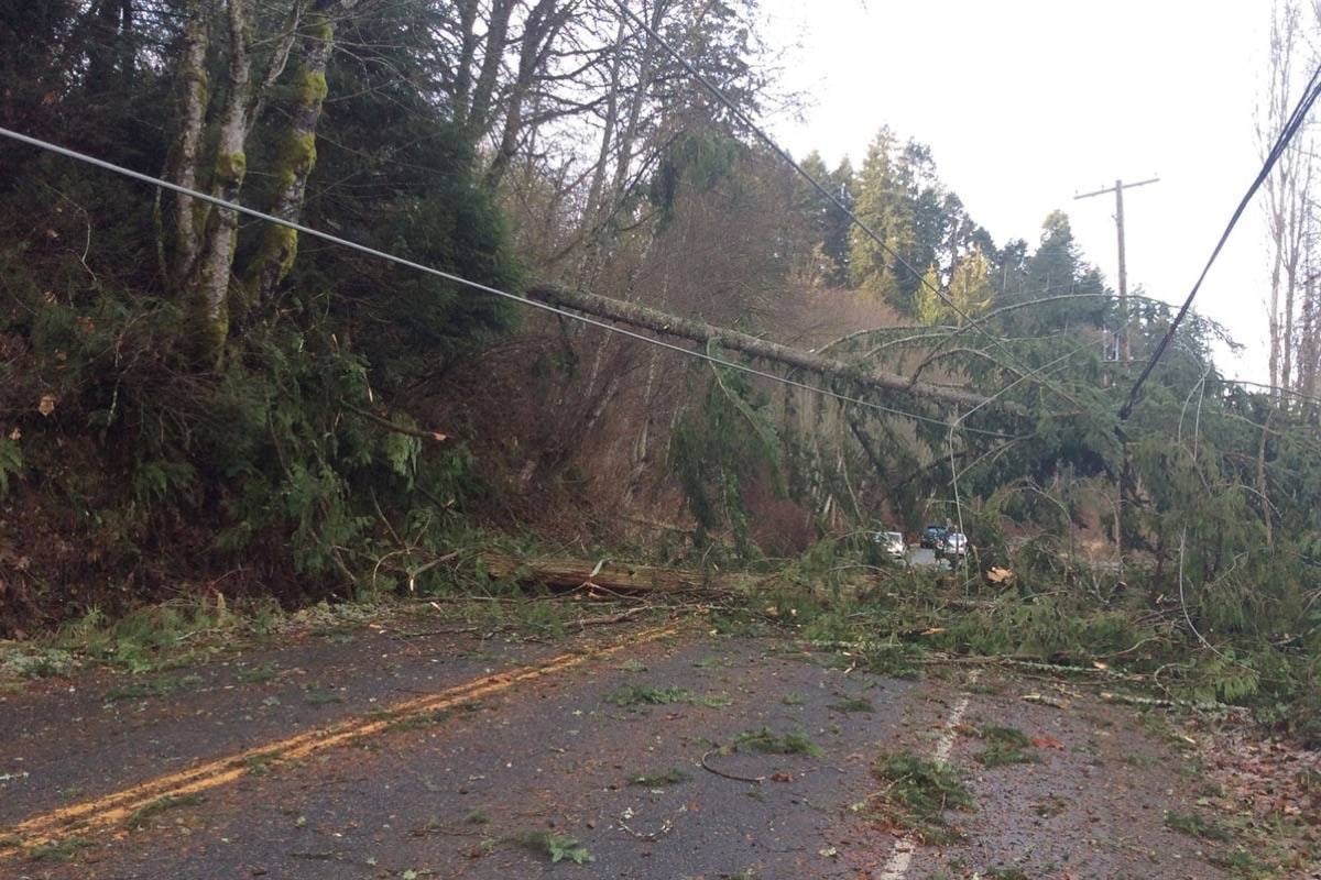 Environment Canada warns of very windy conditions in northern B.C. areas Nov. 19 and 20