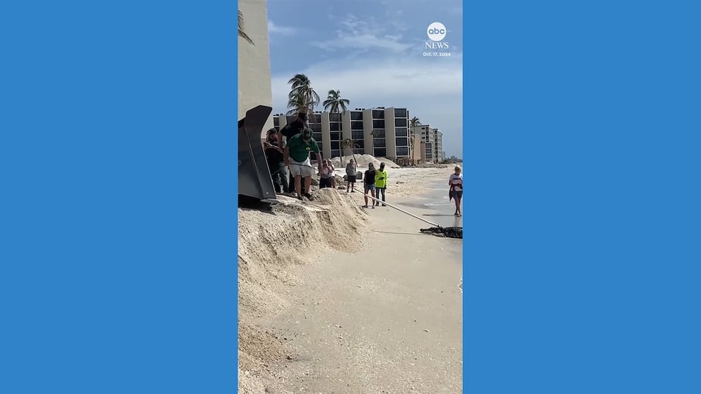 WATCH: Alligator captured on Florida beach