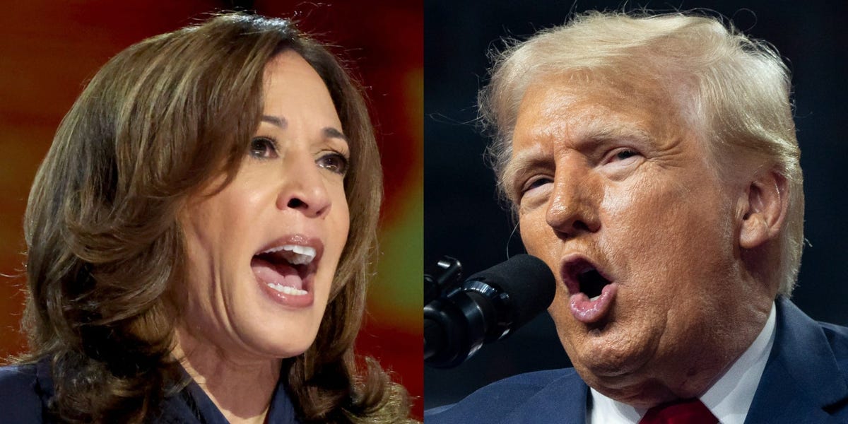 Election betting odds tighten as polls show Harris has momentum