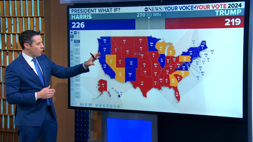 WATCH: What polls say about the 2024 presidential election