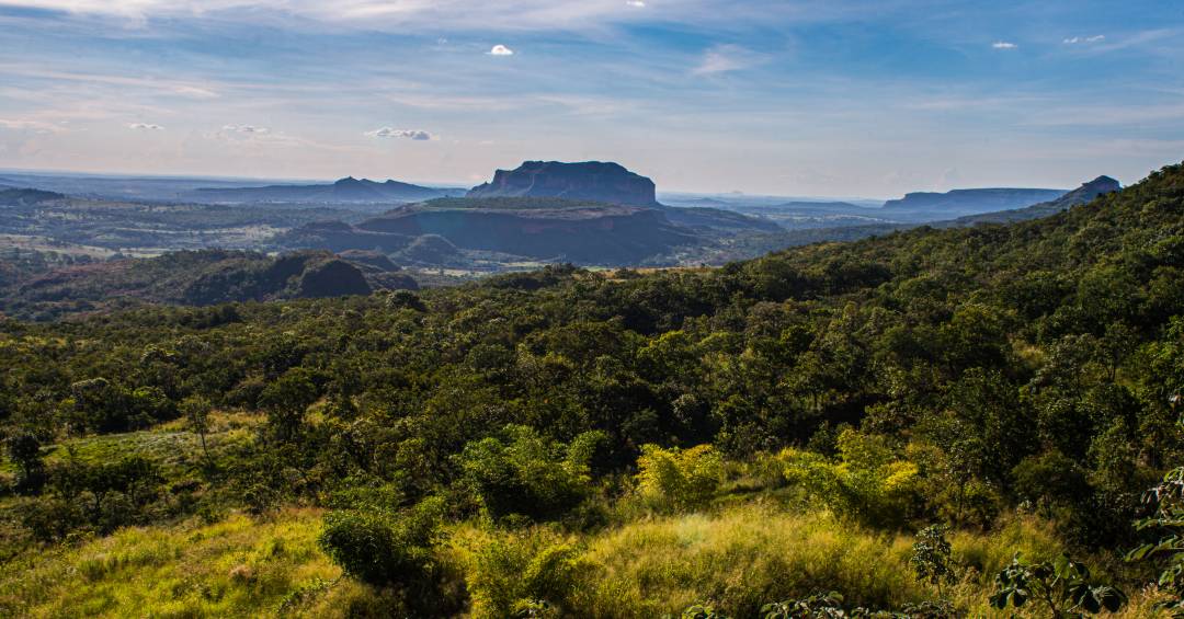 National Geographic inclui Cerrado em lista internacional de destinos para visitar em 2025