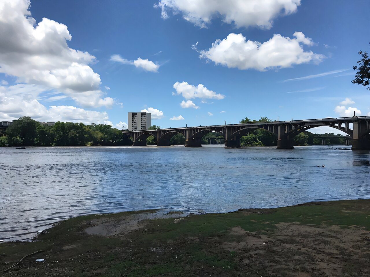 Toxin was released into the Congaree River in South Carolina: Agencies did little to stop it, greens say